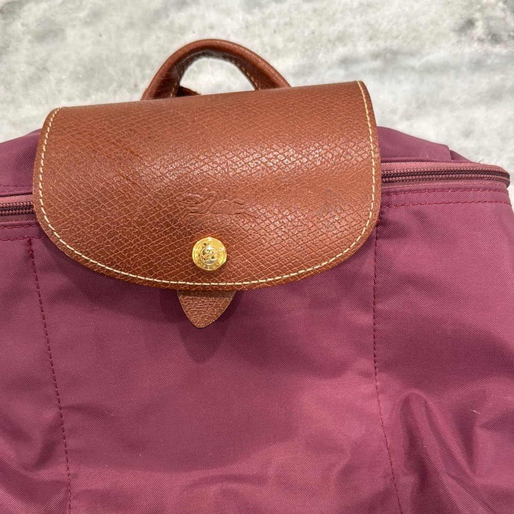 Longchamp Backpack - image 2